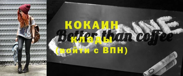 первитин Богданович
