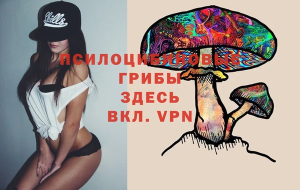 кокаин Богородицк